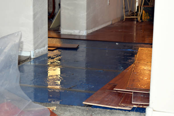 Professional Basement Flood Cleanup technician working in Enola, PA